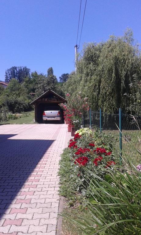 Apartman Andelina Vrnjačka Banja Exterior foto